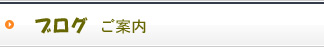 ブログご案内